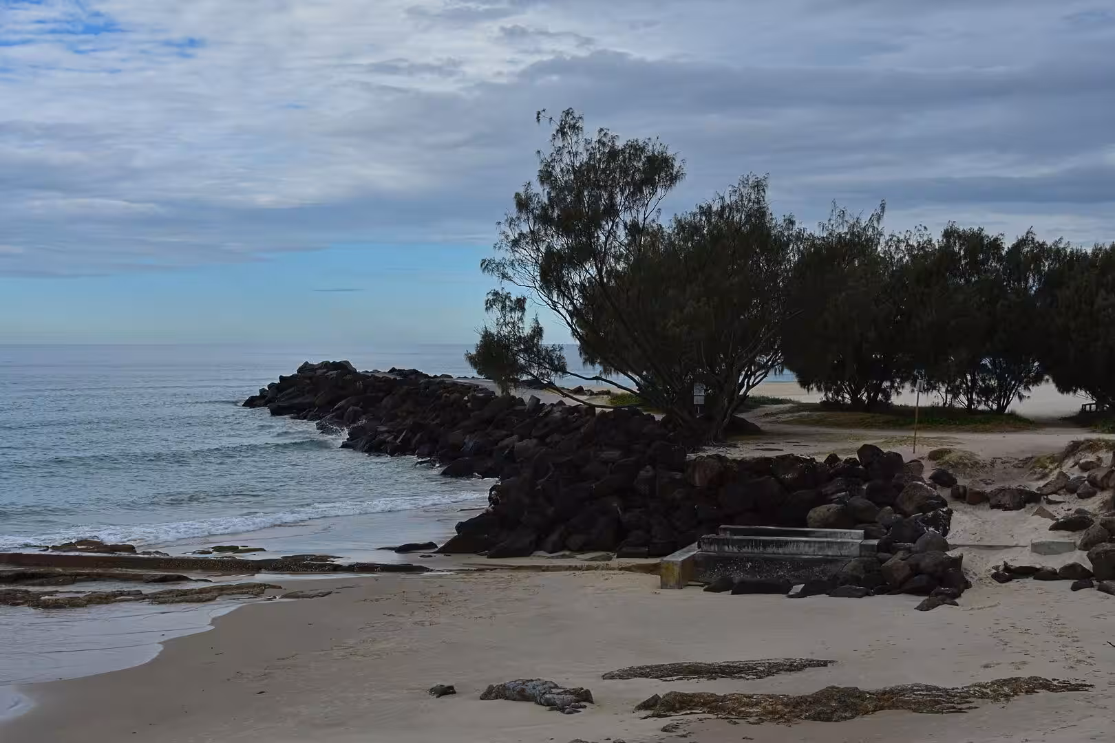 A leaning coastal tree overhangs a dark rock breakwater reaching into the sea.