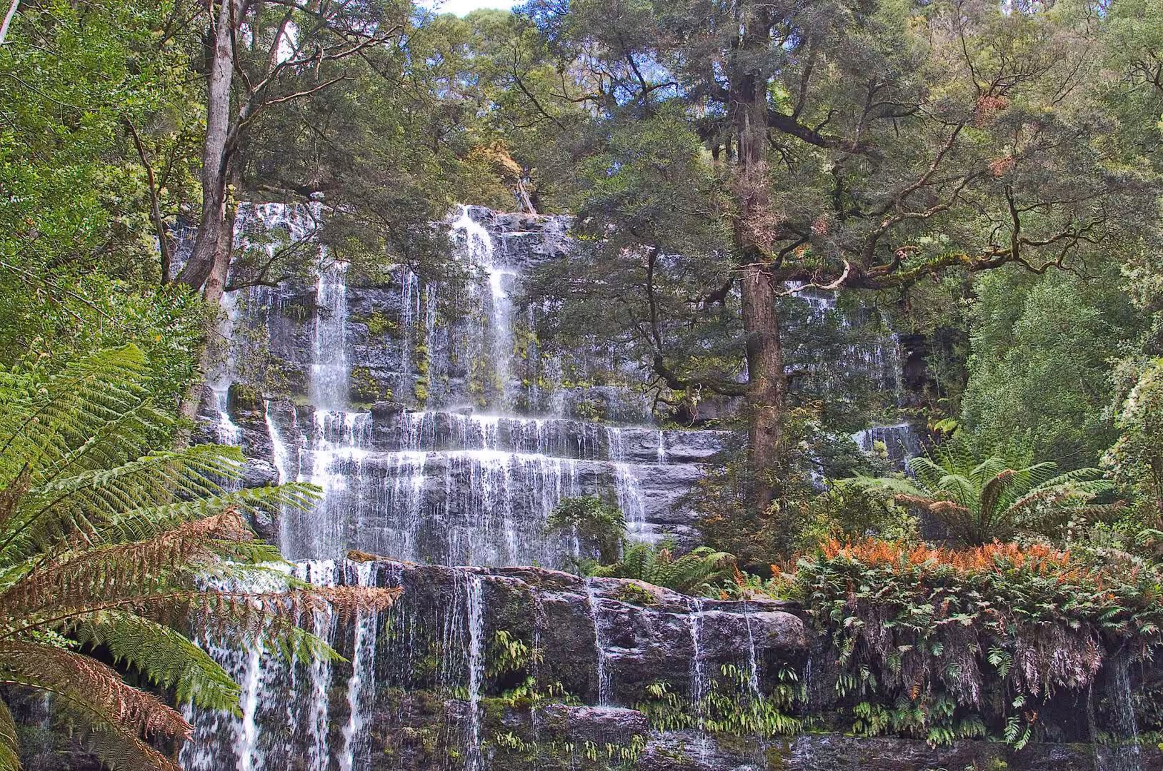 A multi-tiered waterfall pours over dark mossy ledges framed by ferns and lush green trees.