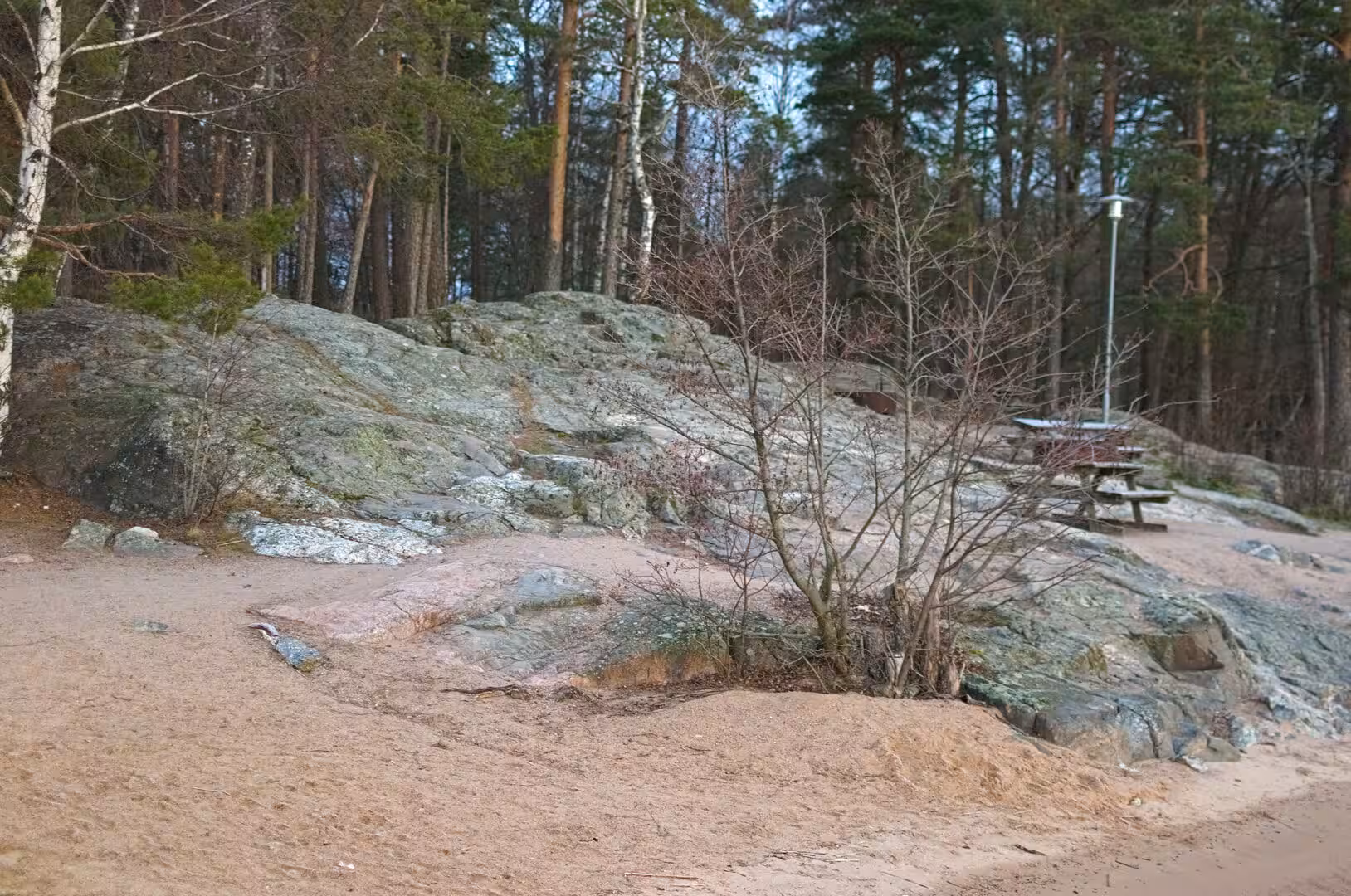Weathered grey rock outcrops sit on sandy ground beneath a forest of bare and evergreen trees.