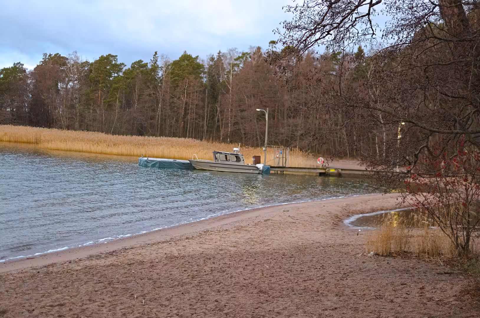 Two aluminum work boats rest moored at a pier surrounded by tall golden reeds.