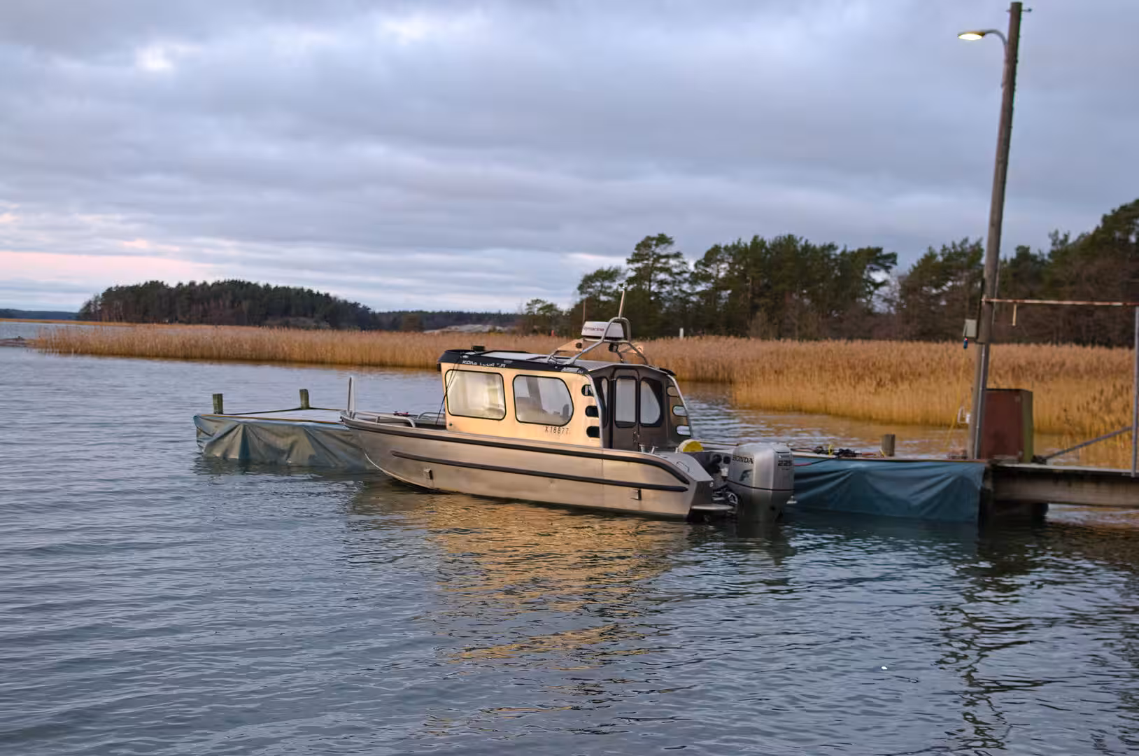 A compact cabin boat rests at a dock enclosed by tall reeds.