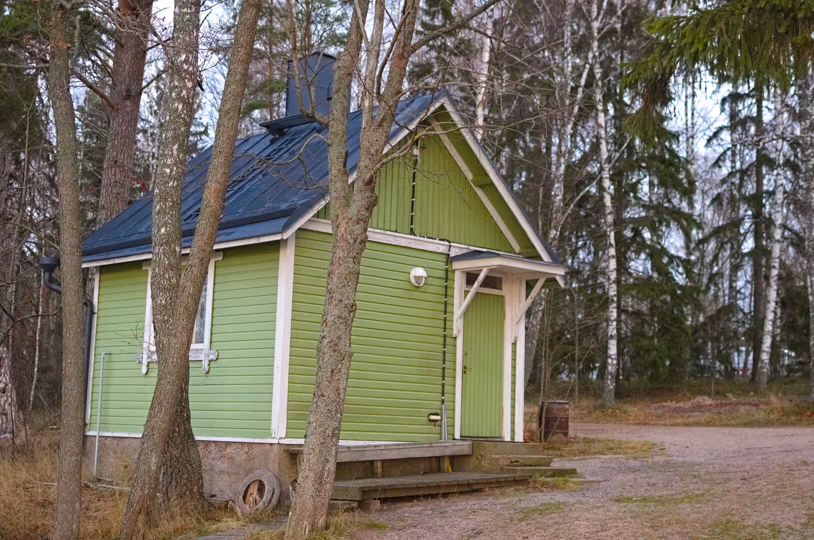 A modest painted cabin stands among bare birch and pine trees.