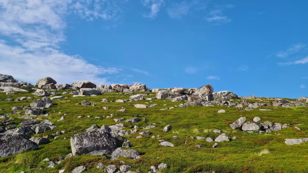 Low green vegetation and many weathered grey boulders cover a rising hillside beneath a bright blue sky, at Gjesvaer on Mageroya in Finnmark, Norway.