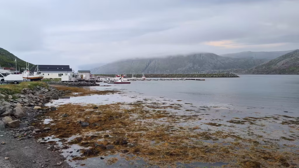Small white houses and moored boats line a calm inlet while exposed seaweed covers the rocky shore beneath misty hills, at Skarsvag on Mageroya in Finnmark, Norway.