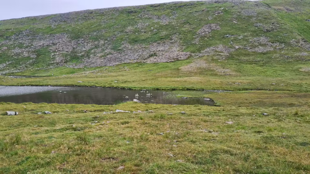 White birds rest on the dark water of a small pond set in a grassy rocky hillside under an overcast sky, at the North Cape in Finnmark, Norway.