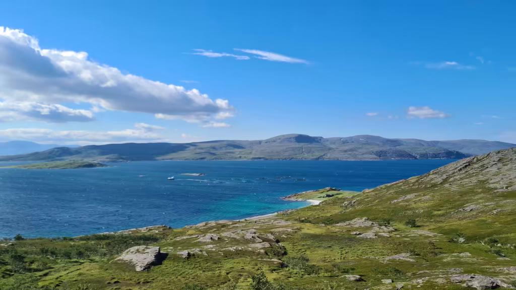 Several small boats leave white wakes across a wide bay bordered by a rocky green slope and a pale beach below low hills, on the island of Masoy in Finnmark, Norway.