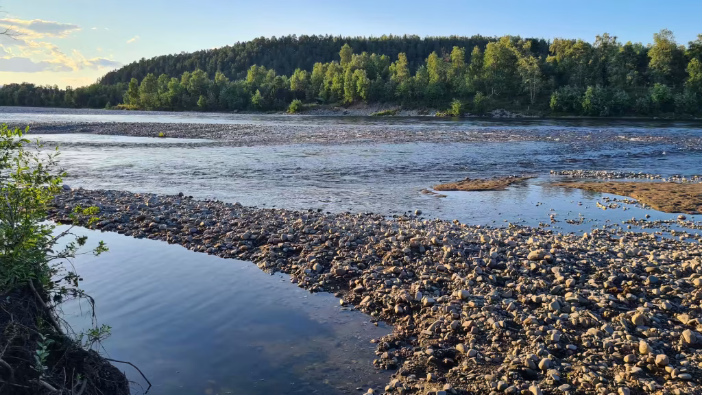 A wide river flows past an exposed gravel bar of rounded stones below forested hills under a light blue sky, at Alta in Finnmark, Norway.