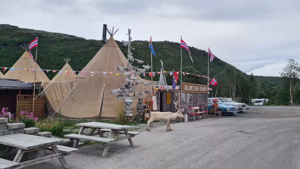 A reindeer stands on a gravel yard among tan canvas tents and picnic tables beside a kiosk signed Welcome to Repa 65 Nordkapp, at Birtavarre in Troms, Norway.