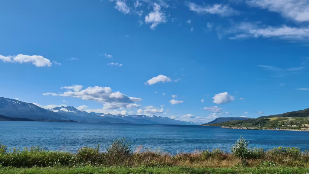 A calm blue expanse of water lies between a grassy shoreline and a mountain range with snow patches under a bright blue sky, at Bjerkvik in Norway.