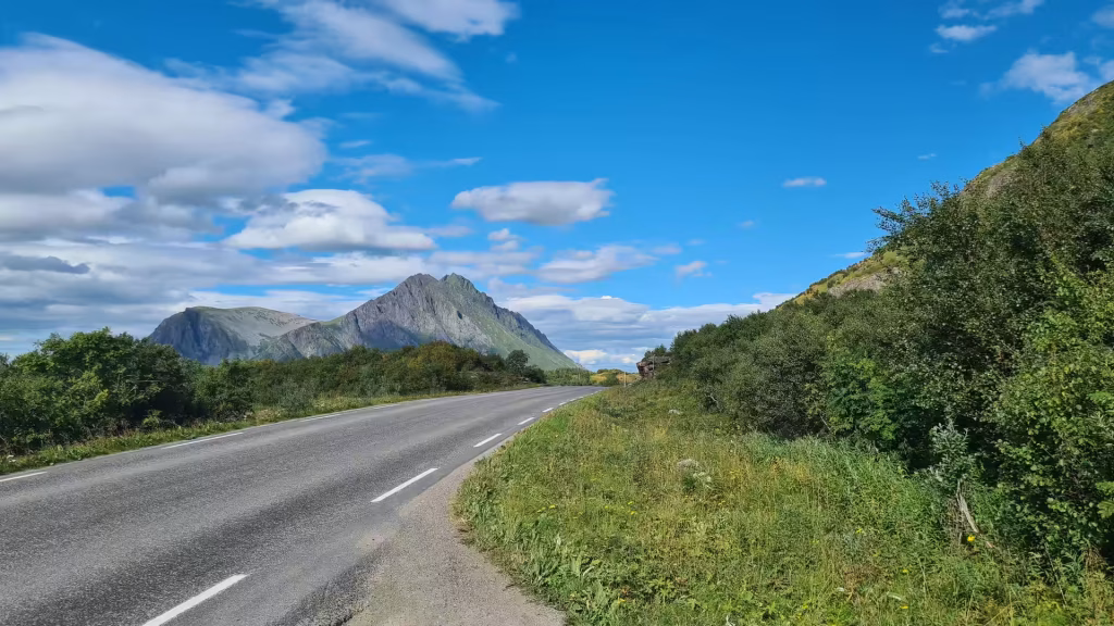 A two lane asphalt road curves past dense roadside shrubs toward a pointed grey mountain under a blue sky of cumulus clouds, in the Lofoten islands, Norway.