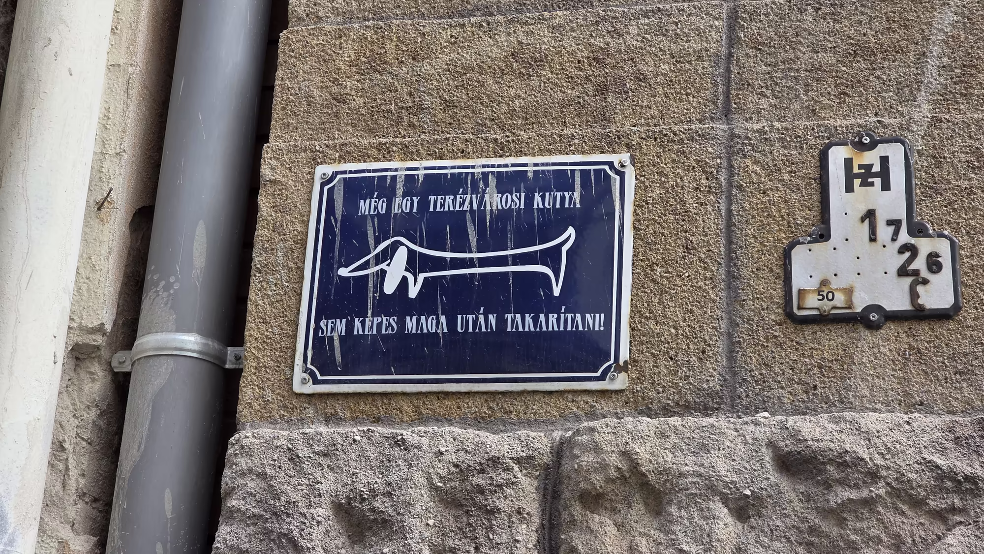 A dark blue sign with a white dog outline is screwed to a weathered stone wall beside a metal downspout and a small enamel plaque.